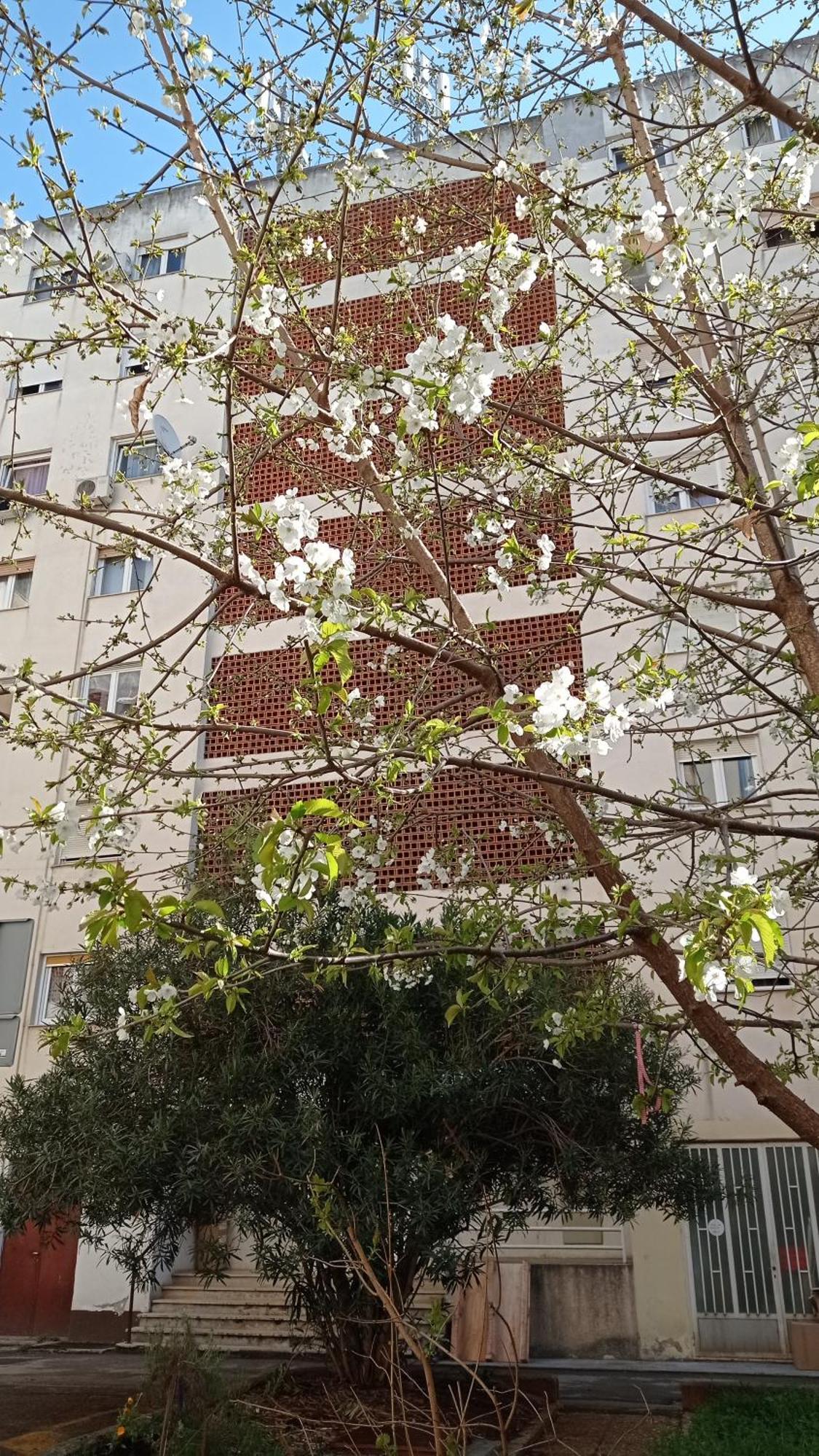 Apartamento App Letta Sunset Pula Exterior foto