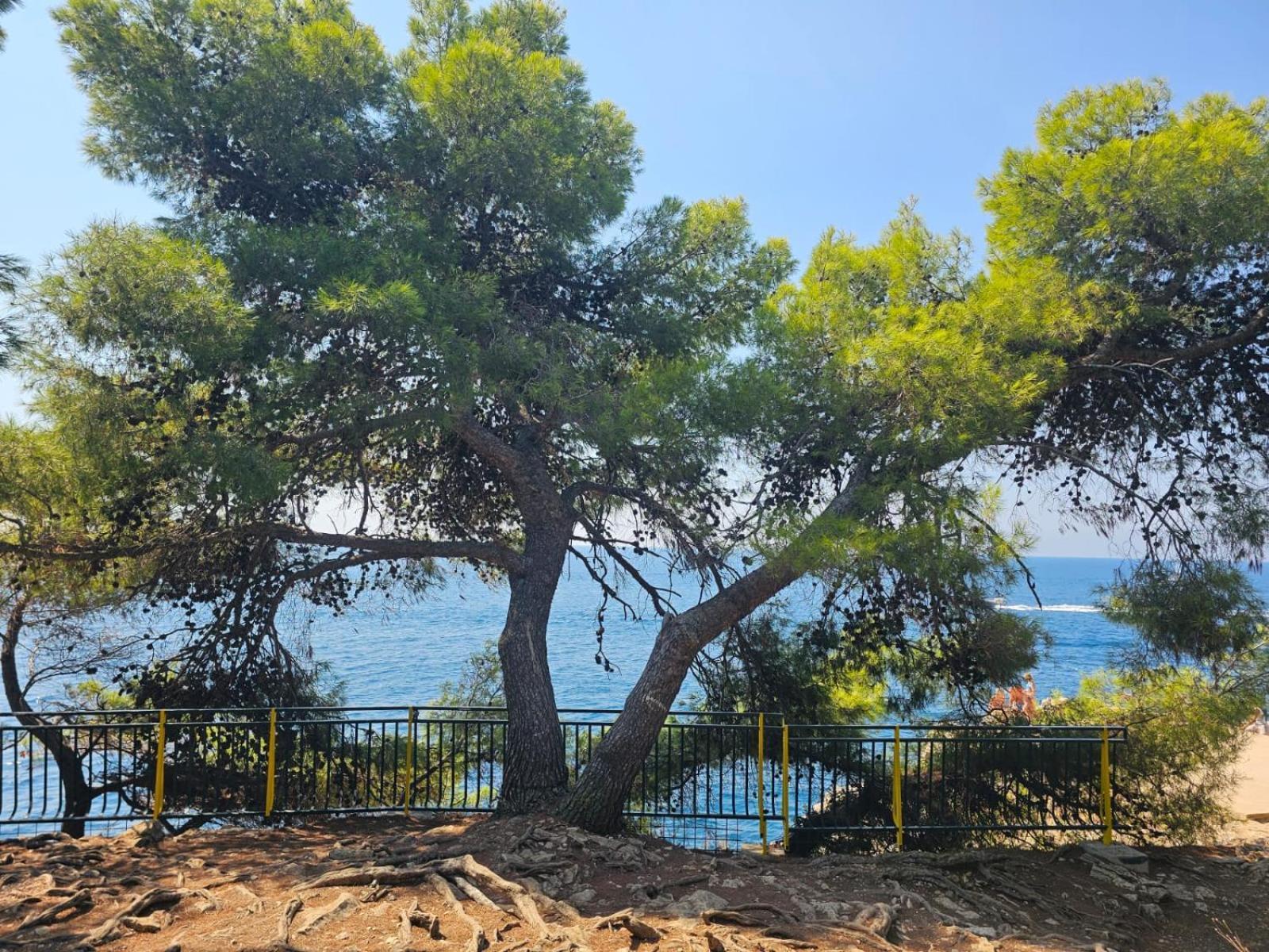 Apartamento App Letta Sunset Pula Exterior foto